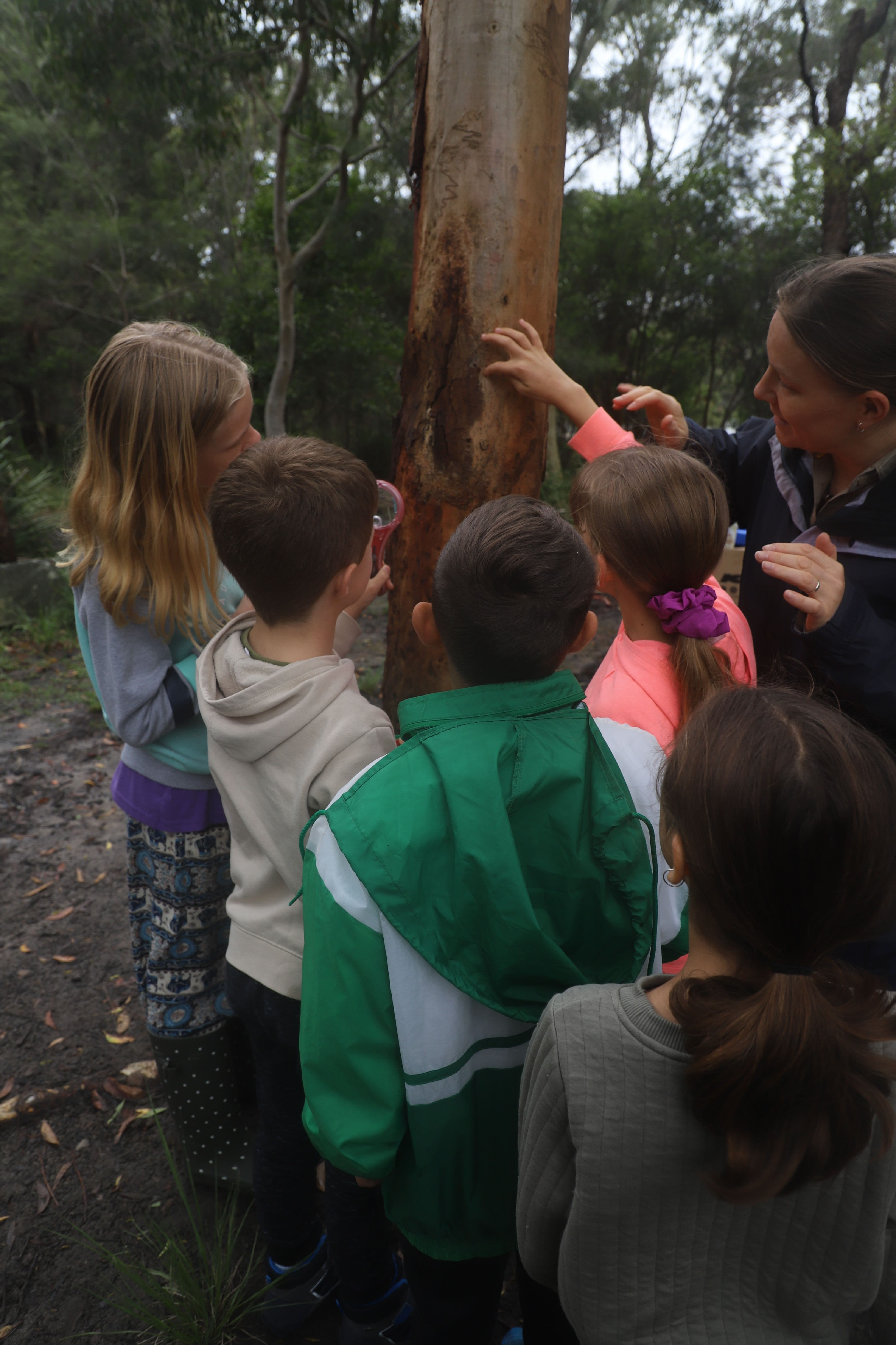 Teaching about nature 